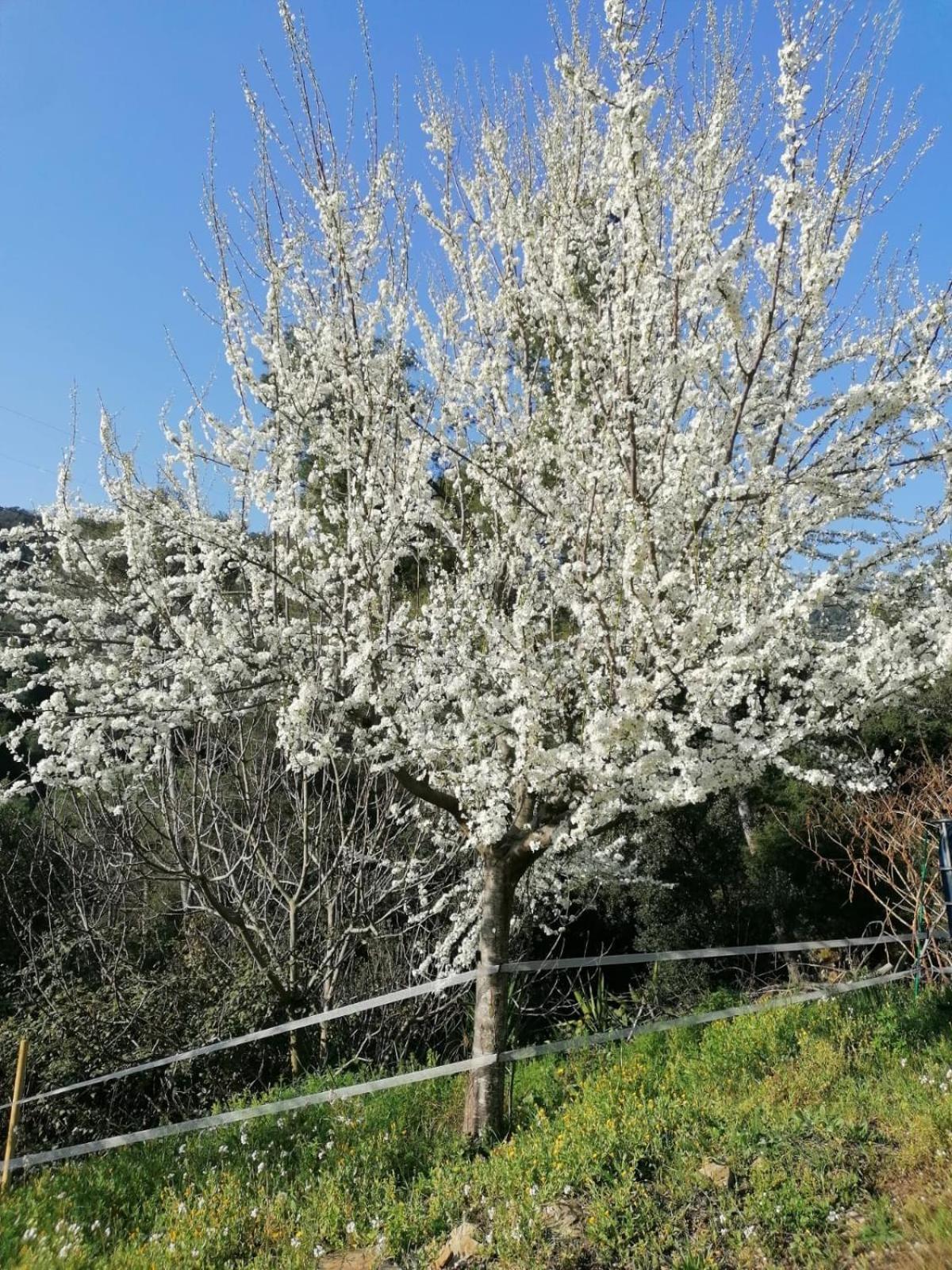 Masia Can Sunyer Agroturismo 라가리가 외부 사진